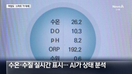 30도 고수온 견디는 어종 개발…어업도 ‘스마트’가 대세