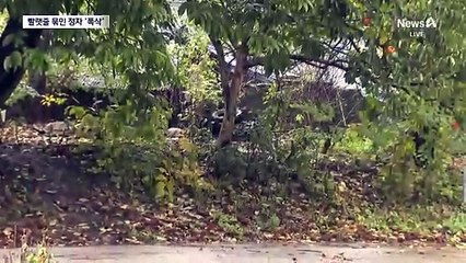 버스가 빨랫줄 건드리자…노인 쉬던 정자 ‘와르르’