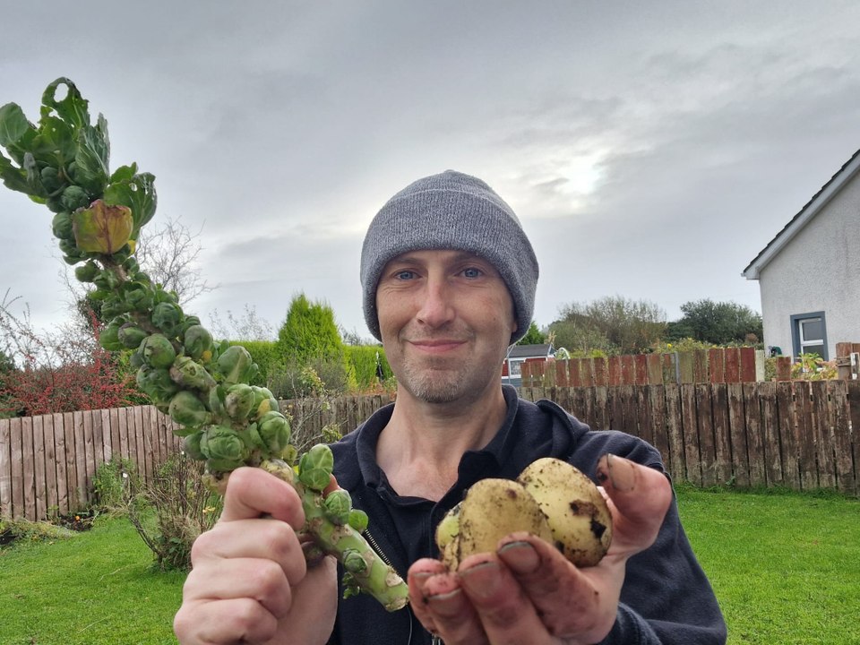 Harvesting potatoes, radishes and Brussels sprouts - Gardening with Brendan
