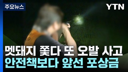 멧돼지 쫓다 또 오발 사고..."포상금 제도 손봐야" / YTN