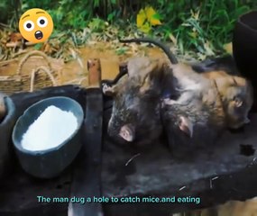 The man dug a hole to catch mice.and eating | entertainment video