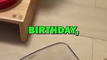 DOG BIRTHDAY DINNER! #animalstories #funnyanimals #animals #cutedog #cute #dogs #doglover