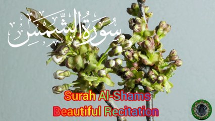 Surah Al-Shams Beautiful Heart Touching Recitation