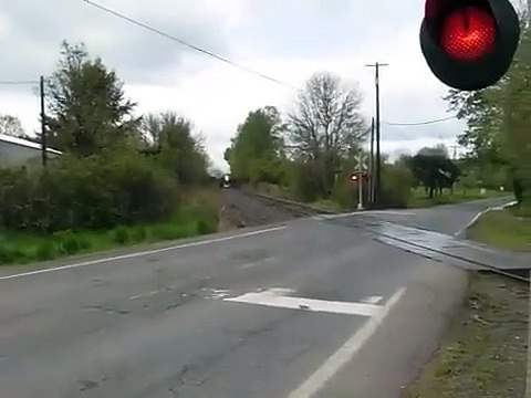 (#1 most viewed train) SP 4449 crossing at Roberts, Oregon