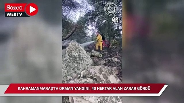 Kahramanmaraş'ta orman yangınında 40 hektar alan zarar gördü
