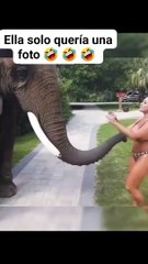Ella solo quería una foto