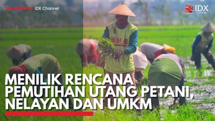 Menilik Rencana Pemutihan Utang Petani, Nelayan dan UMKM