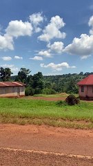 Uganda Kumanya Yardımı