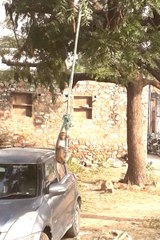 झूले का आनंद लेता बन्दर..., देखे वीडियो