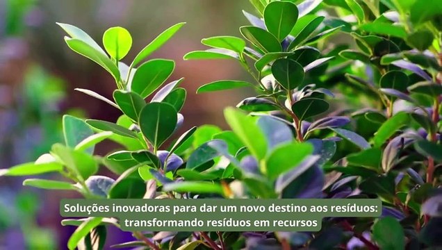 Geraldo de Vitto_ Transformando Resíduos em Recursos Sustentáveis