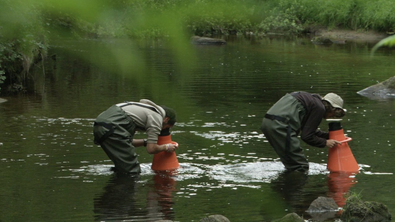 La ligne de partage des eaux