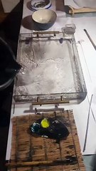 Artist is using an ancient Japanese art form called Suminagashi!