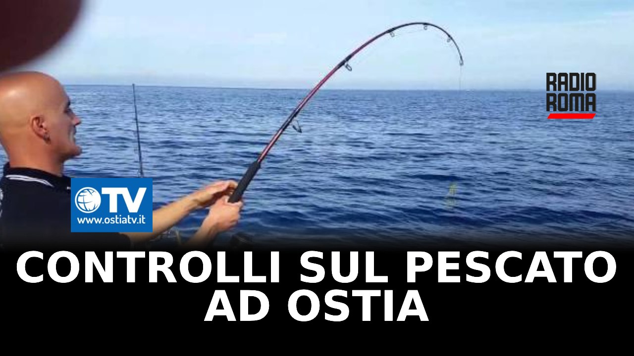 Controlli della guardia costiera sul pescato: sanzionati due centri all'ingrosso