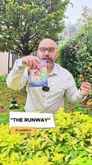 INTER(RE)VIEW SUR THE RUNWAY