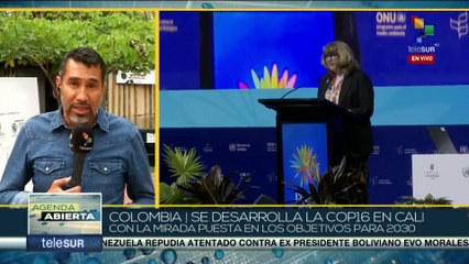 COP16 entra en su segunda semana en Cali