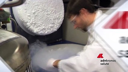 Usa, creato cuore umano ingegnerizzato da cellule staminali pluripotenti