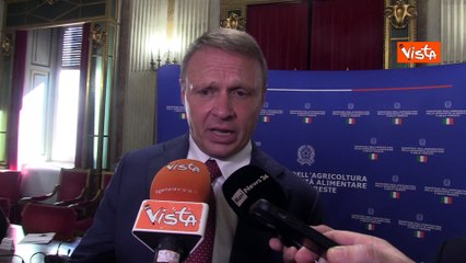 Lollobrigida: "Stiamo lavorando per migliorare la produzione di grano in Italia"