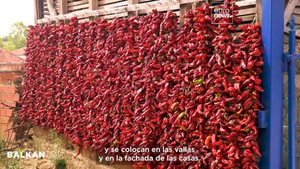 Explora la aldea de Donja Lokošnica y las alfombras artesanales de Pirot, patrimonio de la Unesco