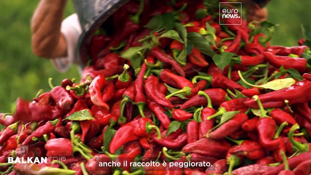 Donja Lokošnica, villaggio rosso serbo, e l'artigianato del tappeto Pirot, patrimonio dell'UNESCO