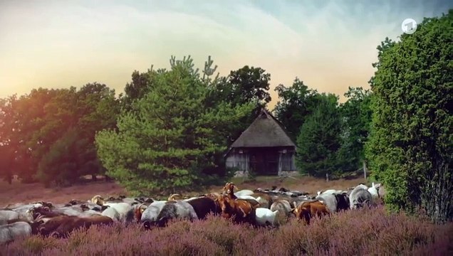 Rote Rosen Folge 4049