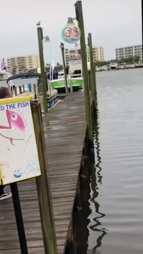 Plates for Toddlers #AdamAndElea _______________Ready for mess-free meals Grab your WeeSprout suction plates now! _______________Say goodbye to mealtime messes with our award-winning WeeSpro