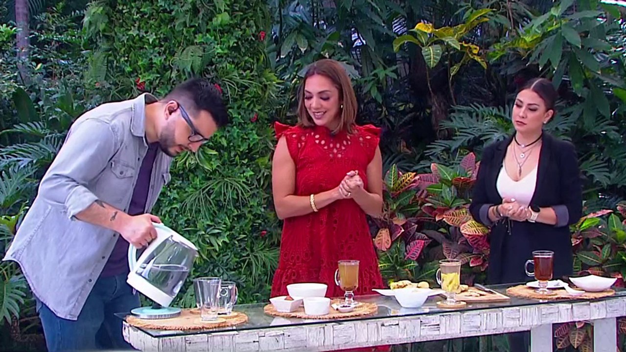 bd-tres-infusiones-para-la-salud-281024