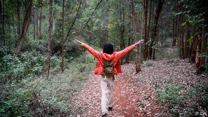 How hiking became Nairobi's new outdoor escape