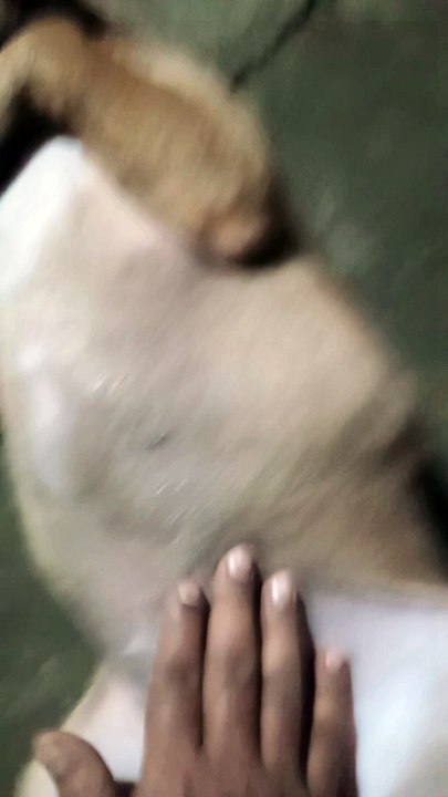 VID20241027214543