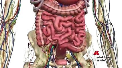 Più della metà del nostro corpo non è umana