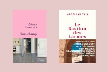 Quels romans lire cette semaine ? Notre sélection, avec le captivant « Hors-champ » de Cristina Comencini