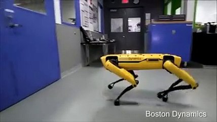 Ecco i cani-robot che hanno scatenato il web