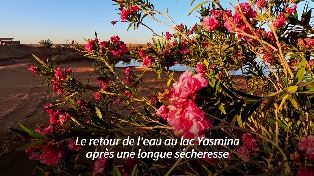 Dans le sud-est du Maroc, de fortes averses redonnent vie à des lacs asséchés