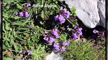 Colori e meraviglie delle montagne d'Abruzzo