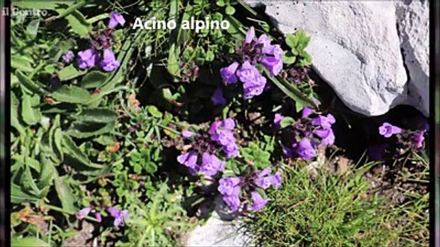 Colori e meraviglie delle montagne d'Abruzzo