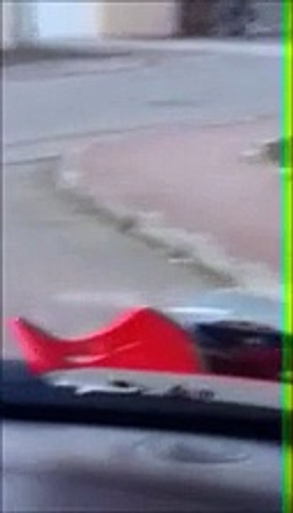 Un cinghiale nel parcheggio nel centro commerciale