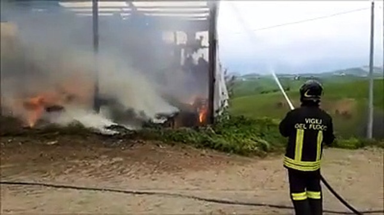 Capannone agricolo avvolto dalle fiamme, l'intervento dei vigili del fuoco