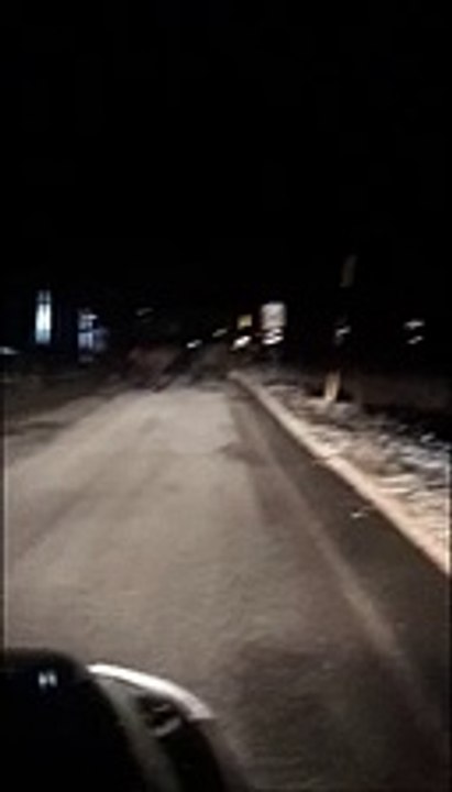 Roccaraso, cavalli allo stato brado sulla strada per l'Aremogna