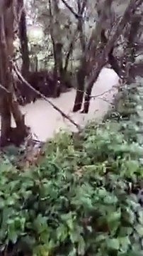 Esonda l'Alento e via Forlanini si trasforma in un lago