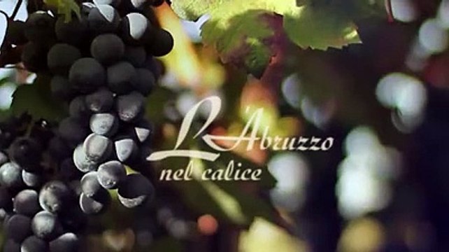 Il libro sul vino abruzzese oggi in regalo con Il Centro