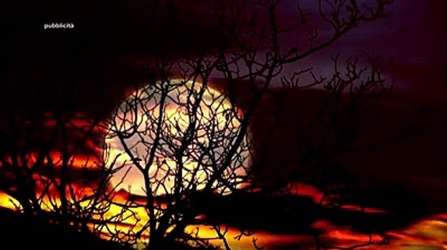 Osservare gli animali in Abruzzo, sabato 15 settembre gratis con Il Centro