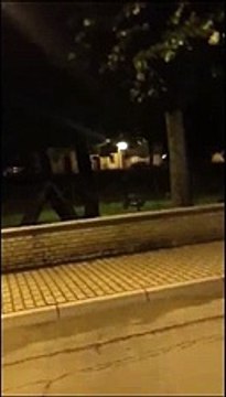 I cinghiali a passeggio di notte nel centro di Orsogna