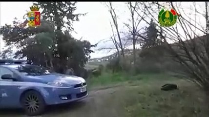 Bucchianico, 30 chili di marijuana nascosti in campagna trovati dal cane Tar