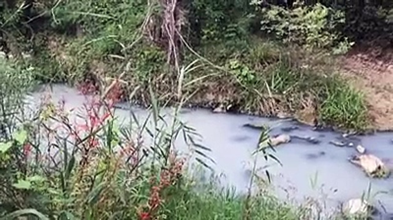 Fiume Moro, allarme inquinamento