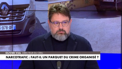 Olivier Vial : «Quand on parle de "racailles", ce n'est plus le niveau»