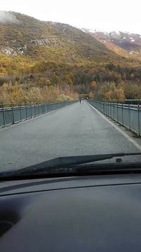 Toh chi si rivede, un cervo sul ponte di Barrea