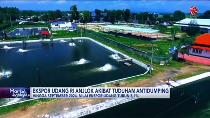 Ekspor Udang RI Anjlok Akibat Tuduhan Antidumping