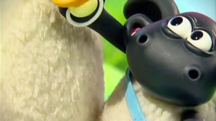 'Timmy y sus amigos' - Promocional Canal 11