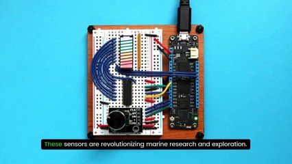 Squid Sensor Market