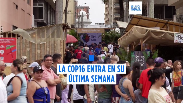 Biodiversidad: Los pueblos indígenas de toda América exigen acción para frenar el cambio climático