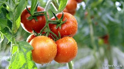 XV Forum Borsa della Ricerca a Catania